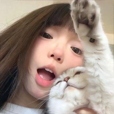 母猫