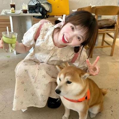 腌黄瓜先生第二季
